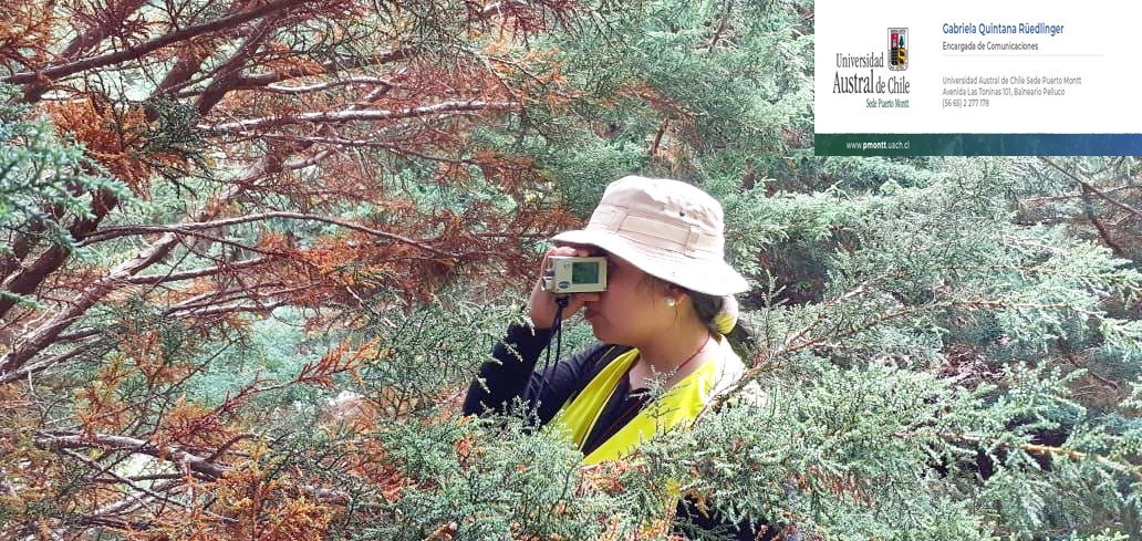 Profesionales y estudiantes de Ingeniería Forestal recolectaron datos en Reserva natural Vodudahue